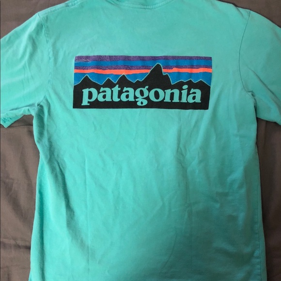 teal patagonia shirt
